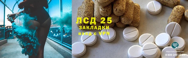 твердый Аркадак