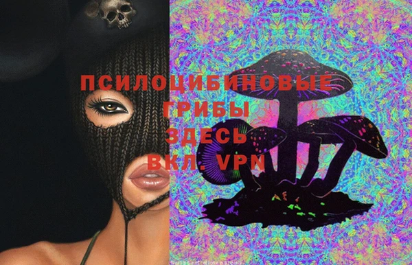 PSILOCYBIN Армянск