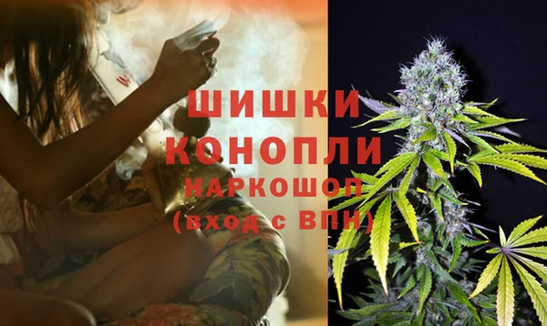 PSILOCYBIN Армянск