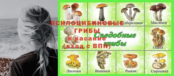 PSILOCYBIN Армянск