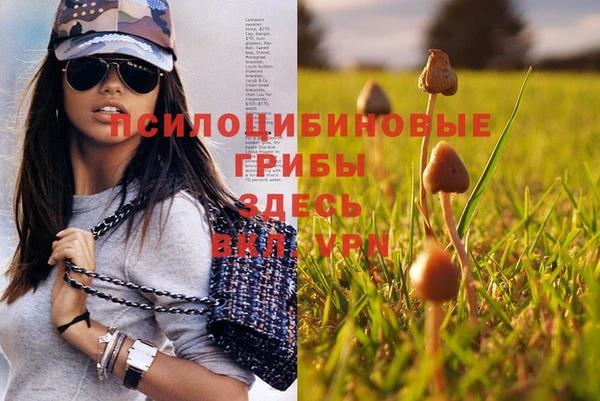 не бодяженный Арсеньев