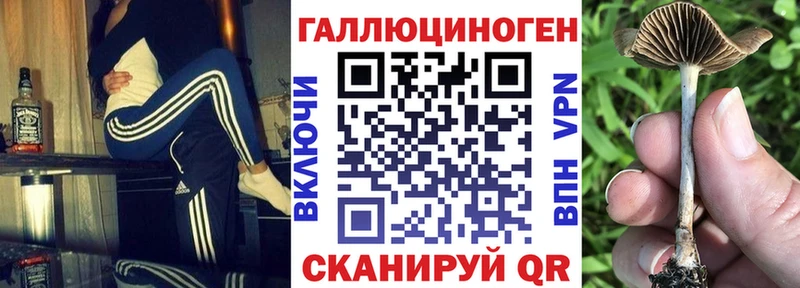 наркошоп  Калининск  Псилоцибиновые грибы Cubensis 